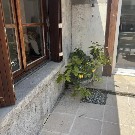 Luxurious Garden * 阿赫莱斯热莱斯加佐斯特